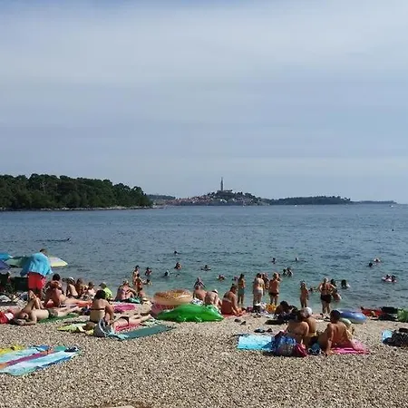 In With Terrace, Air Condition, Wifi, Washing Machine Lejlighed Rovinj
